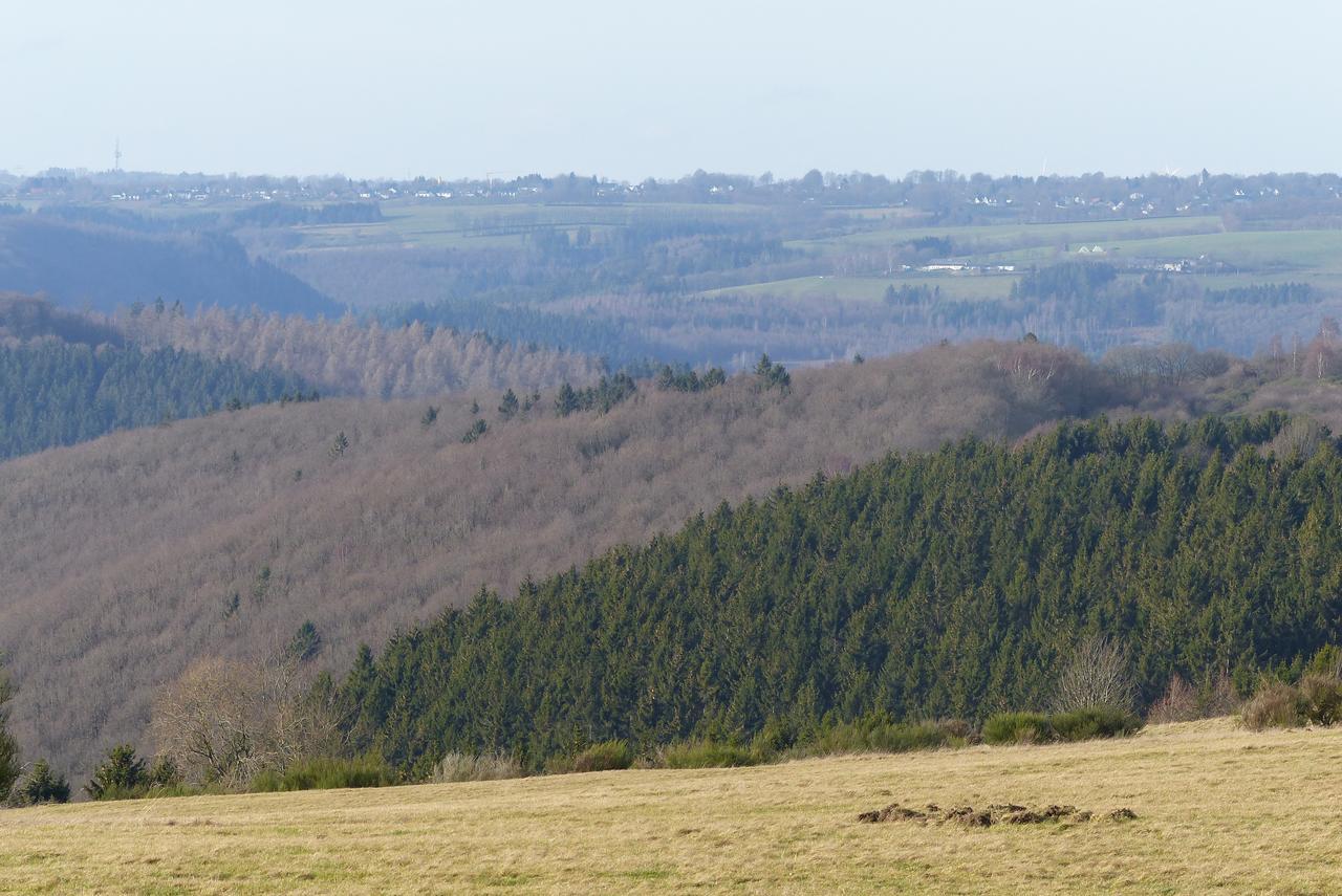 Chalets Am National Park Eifel Schleiden Eksteriør billede